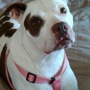 Meet your Posher, Kimothy